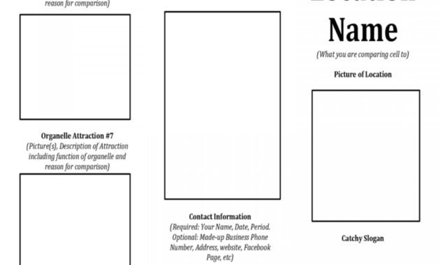 002 Cell Organelle Travel Brochure Template Ideas Templates with Word Travel Brochure Template