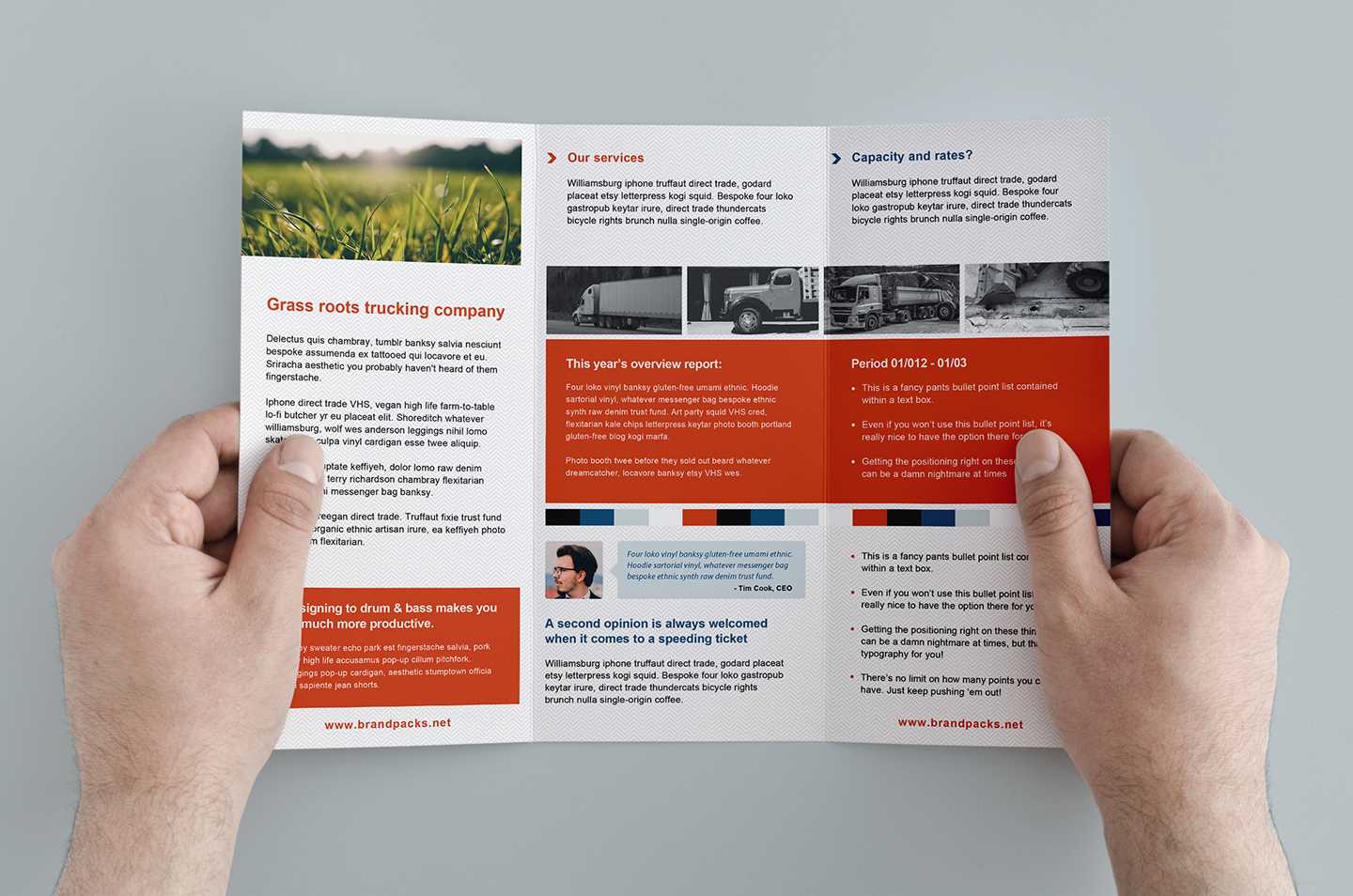 003 Template Ideas Free Corporate Trifold Brochure Tri Fold Regarding Membership Brochure Template