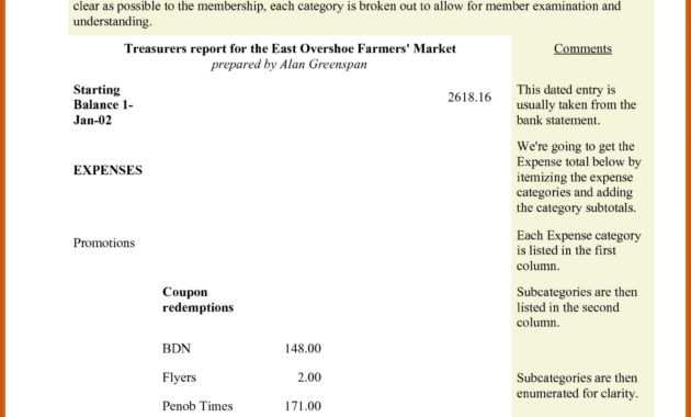 003 Treasurer Report Template Non Profit Sample Treasurers in Treasurer Report Template Non Profit