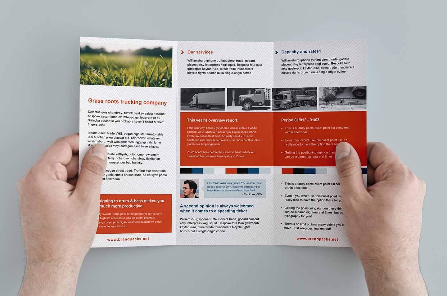 005 Free Corporate Trifold Brochure Template Ideas With Regard To Free Illustrator Brochure Templates Download