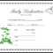 013 Appealing Official Birth Certificate Template Sample For Girl Birth Certificate Template