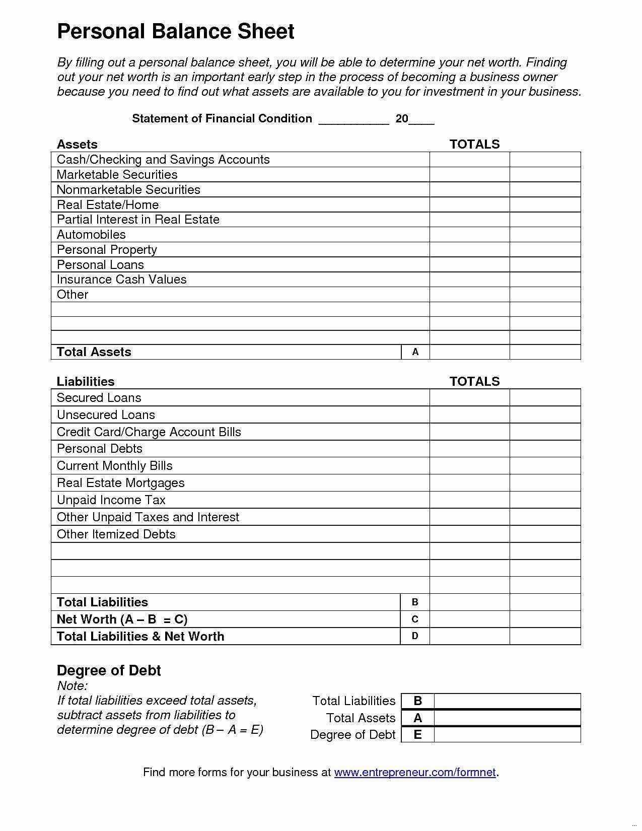 013 Template Ideas Non Profit Balance Sheet Nonprofit Pertaining To Non Profit Monthly Financial Report Template