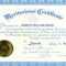 017 Sample Certificate Of Appreciation Downloadable Template Within Sample Certificate Of Recognition Template