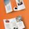 021 X Tri Fold Brochure Template U S Press With Regard To With Tri Fold Brochure Template Indesign Free Download