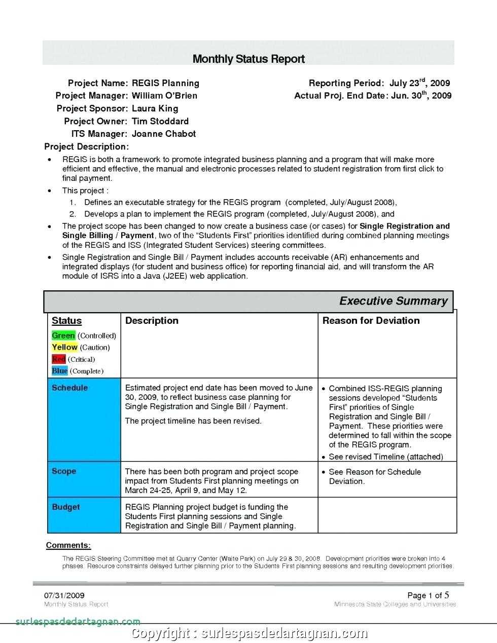 028 Monthly Sales Report Template Executive Manager Example Inside Sales Manager Monthly Report Templates