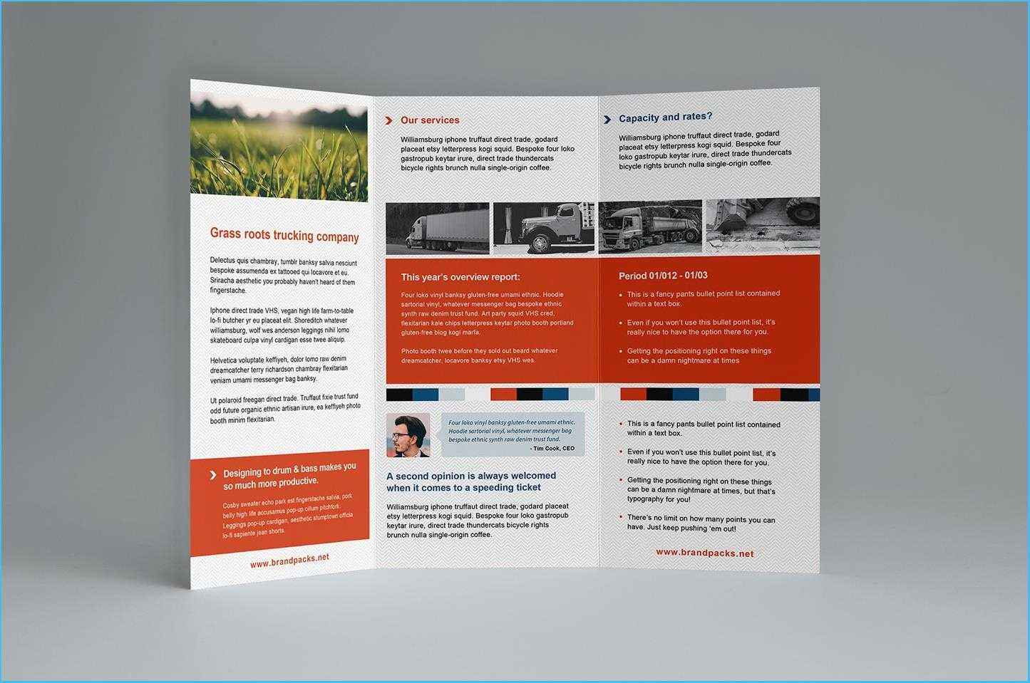 040 Tri Fold Brochure Template Free Download Powerpoint Regarding Illustrator Brochure Templates Free Download