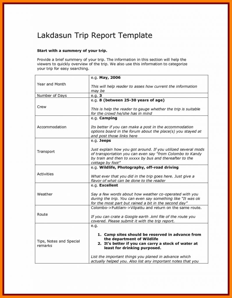 043 Business Report Template Document Development Word Trip Intended For Customer Visit Report Format Templates