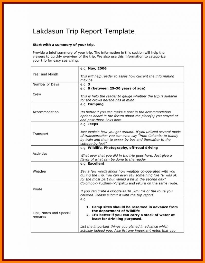 043 Business Report Template Document Development Word Trip Intended For Site Visit Report Template Free Download