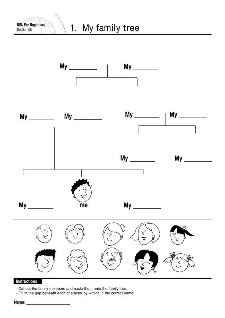 10+ Family Tree Outline Templates – Pdf | Free & Premium With Blank Family Tree Template 3 Generations