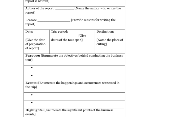 13 + Business Trip Report Examples - Pdf, Word, Apple Pages with Business Trip Report Template