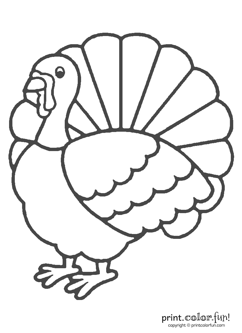 14947 Turkey Free Clipart – 48 With Blank Turkey Template
