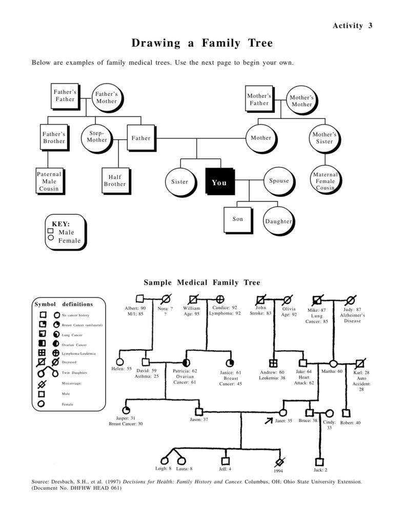 16+ Printable Family Tree Templates – Pdf, Doc | Free With Family Genogram Template Word