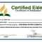 27 Images Of Free Printable Ordination Certificate Template Regarding Certificate Of Ordination Template