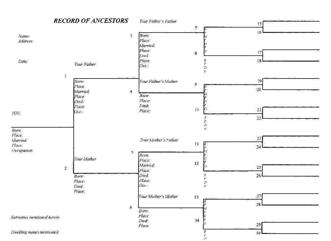 28+ [ Blank Family Tree Diagram ] | Sample Blank Family Tree In Blank Tree Diagram Template