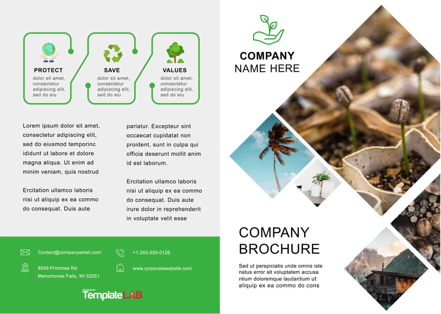 33 Free Brochure Templates (Word + Pdf) ᐅ Template Lab Within Free Brochure Templates For Word 2010