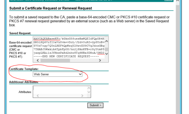 Ad Certificate Services - The Combobox To Select Template Is with Active Directory Certificate Templates