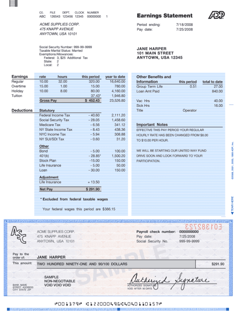 Pay Stub Template Word Document Professional Template