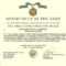 Army Achievement Medal Certificate Template In Army Certificate Of Achievement Template