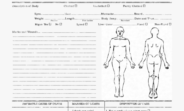 Autopsy Report Template - Zohre.horizonconsulting.co pertaining to Coroner's Report Template