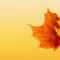 Autumn Ppt Background – Powerpoint Backgrounds For Free In Free Fall Powerpoint Templates