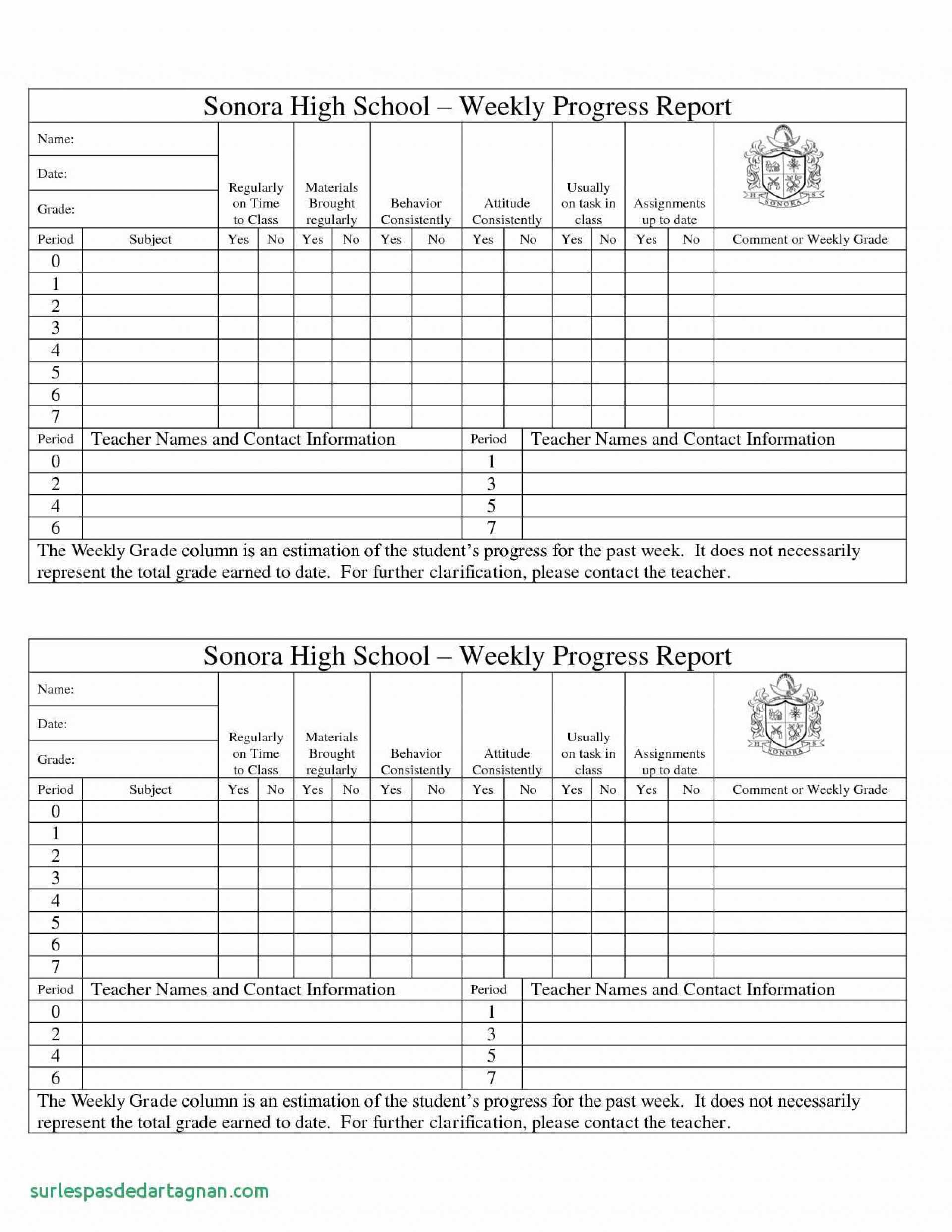 Beautiful Student Progress Report Template Ideas Doc Sample Intended For Student Grade Report Template