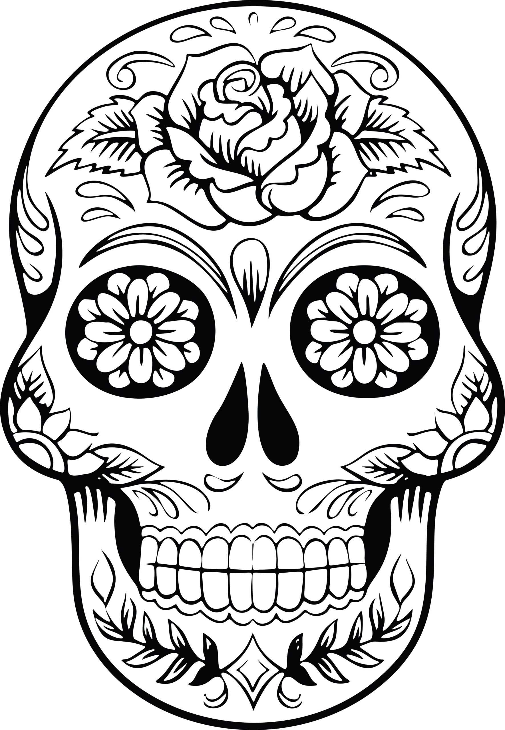 Best Coloring : Free Skull Anatomy Pages Muscular System With Blank Sugar Skull Template