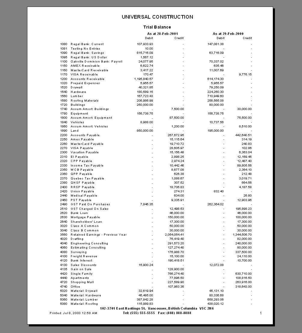 Bizman Income Statements In Trial Report Template