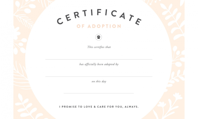 Blank Adoption Certificate - Mahre.horizonconsulting.co in Blank Adoption Certificate Template