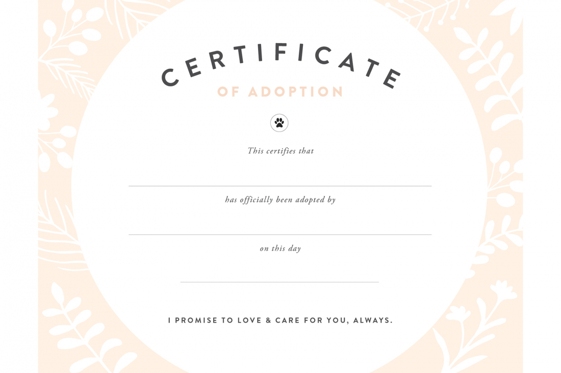 Blank Adoption Certificate - Mahre.horizonconsulting.co In Blank Adoption Certificate Template