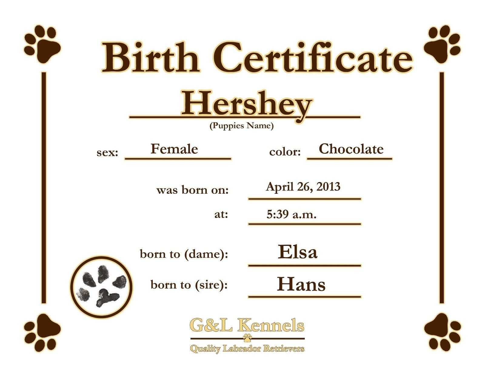 Blank Birth Certificate Template For Elements Novelty Images Regarding Novelty Birth Certificate Template