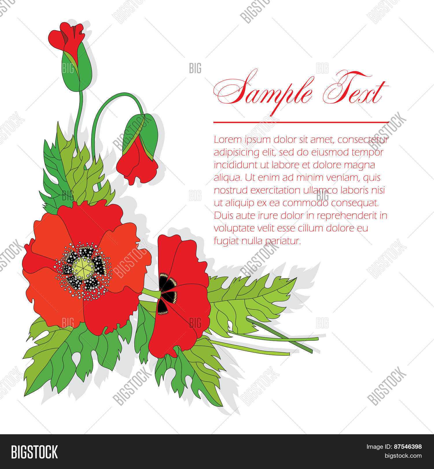 Bouquet Poppies Vector & Photo (Free Trial) | Bigstock In Congratulations Banner Template