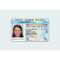 Buy Real Us Id Card Online, Fake Usa Id Cards For Sale, Buy Throughout Florida Id Card Template
