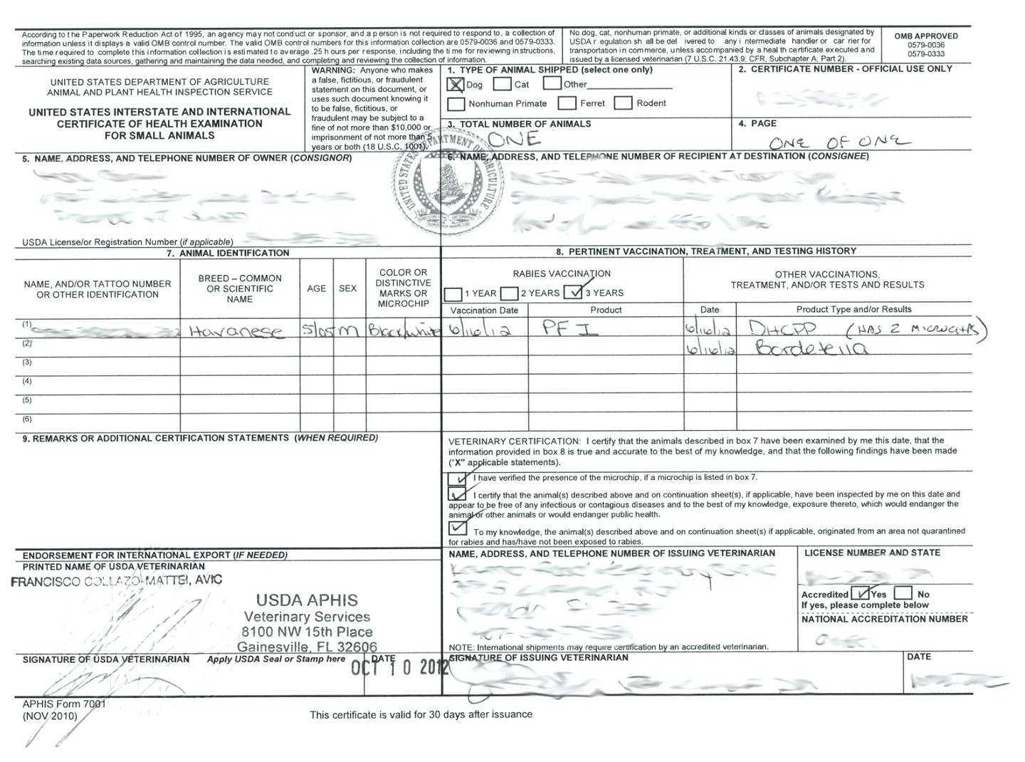 Certificate Of Vaccination Template – Zohre.horizonconsulting.co Intended For Veterinary Health Certificate Template