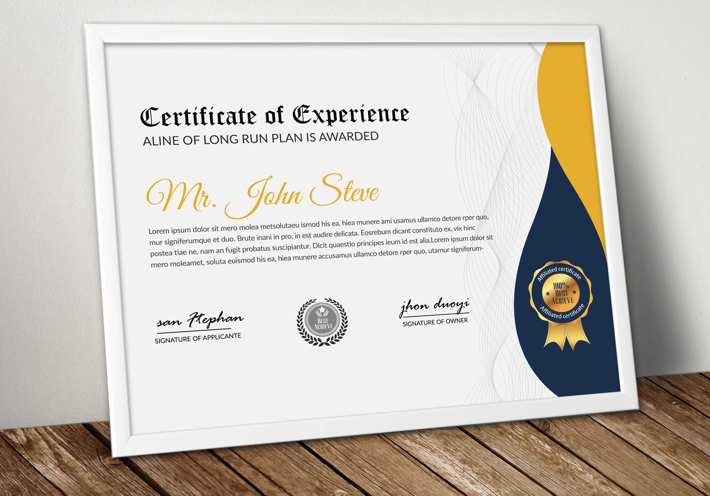 Company Certificate Word Template – Vsual Throughout Professional Certificate Templates For Word