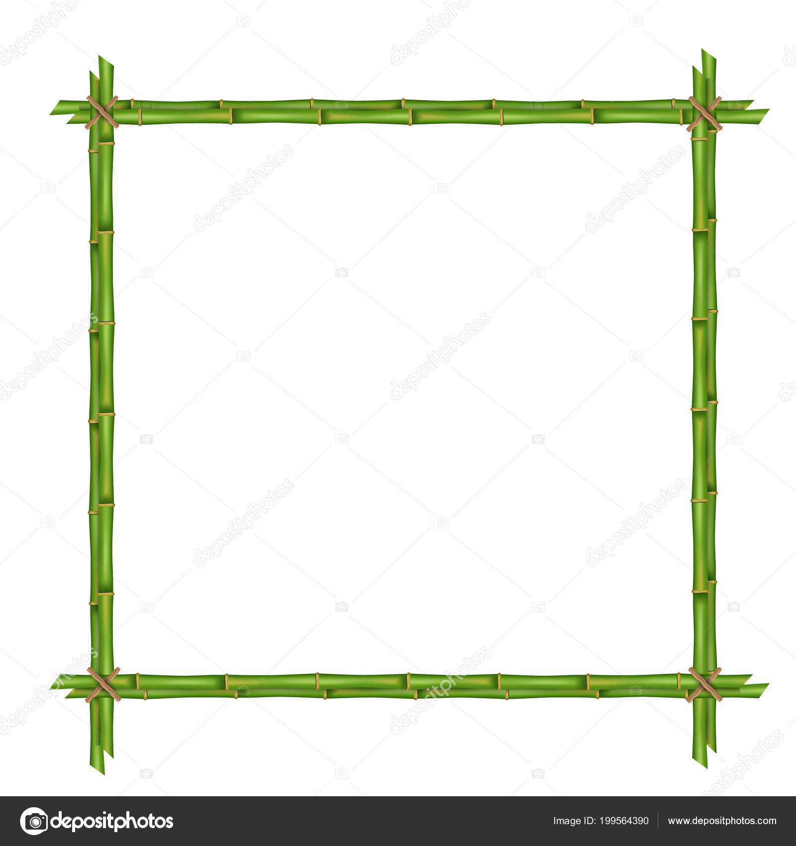 Creative Vector Illustration Bamboo Stems Frame Isolated For Blank Stem And Leaf Plot Template