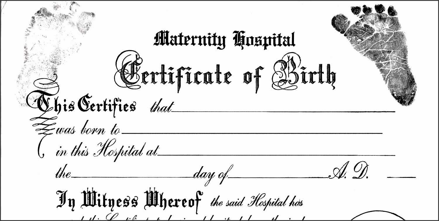 Editable Birth Certificate Template – Zohre.horizonconsulting.co In Novelty Birth Certificate Template