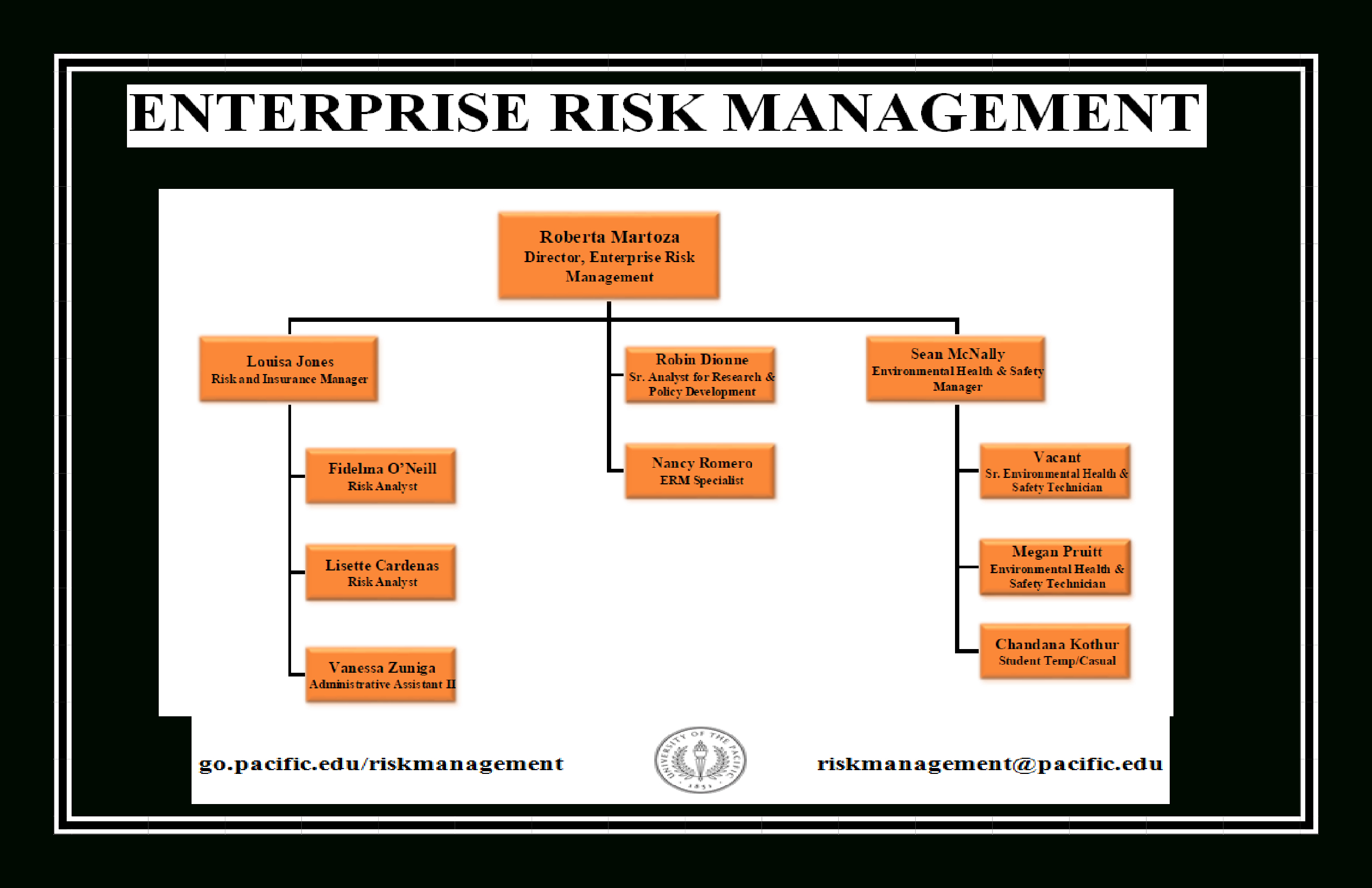 Enterprise Risk Management Organizational Chart Throughout Enterprise Risk Management Report Template