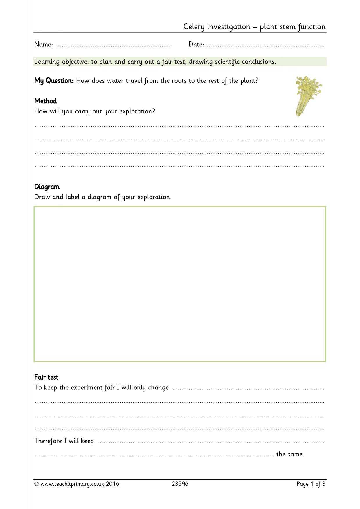 Eyfs | Ks1 | Ks2 | Investigations | Teachit Primary Throughout Science Report Template Ks2