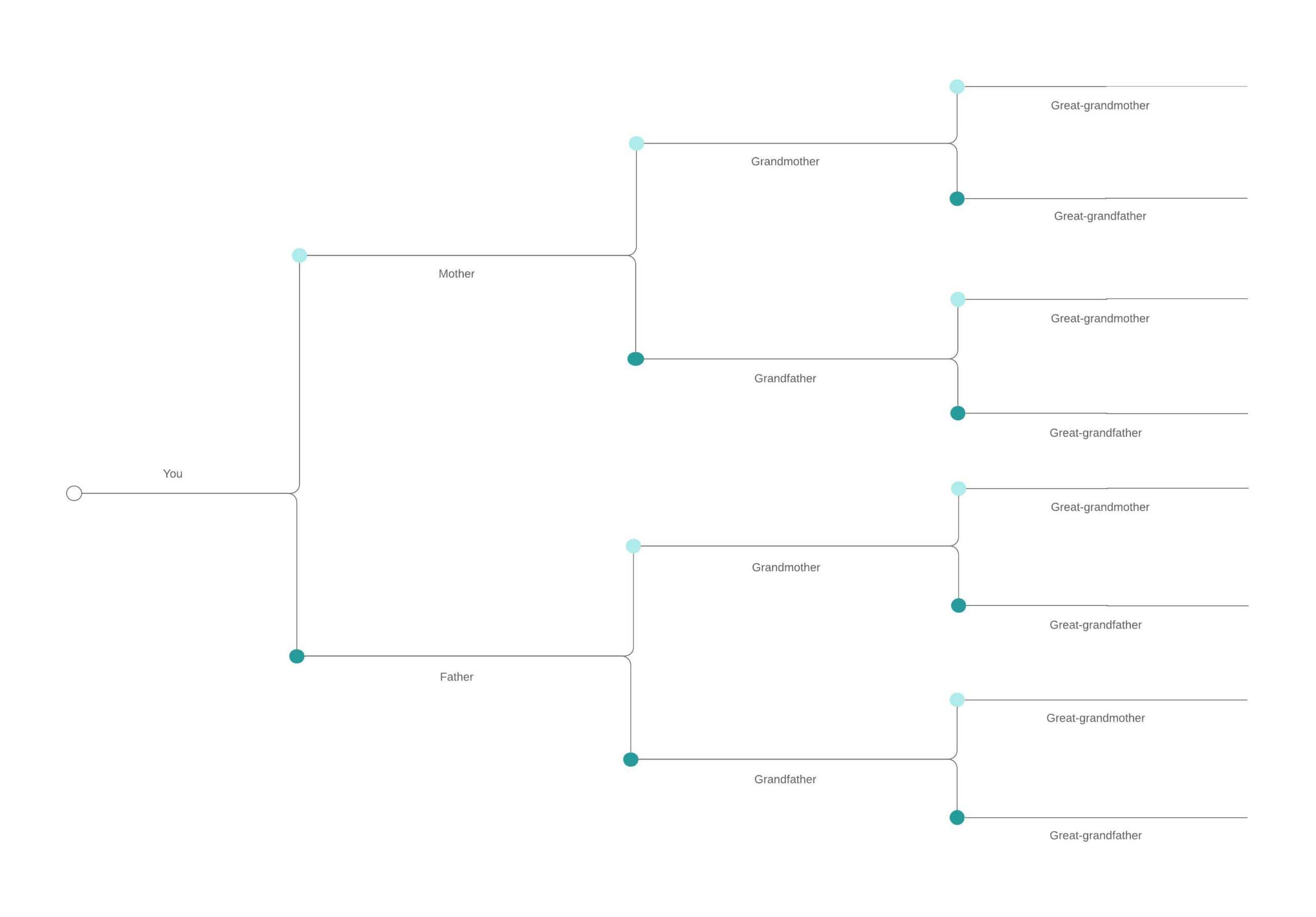 Family Tree Generator | Lucidchart Throughout Blank Tree Diagram Template