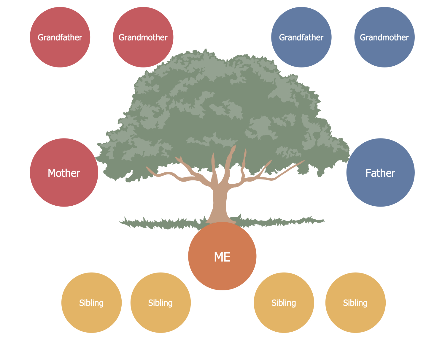 Family Tree Solution | Conceptdraw Throughout 3 Generation Family Tree Template Word