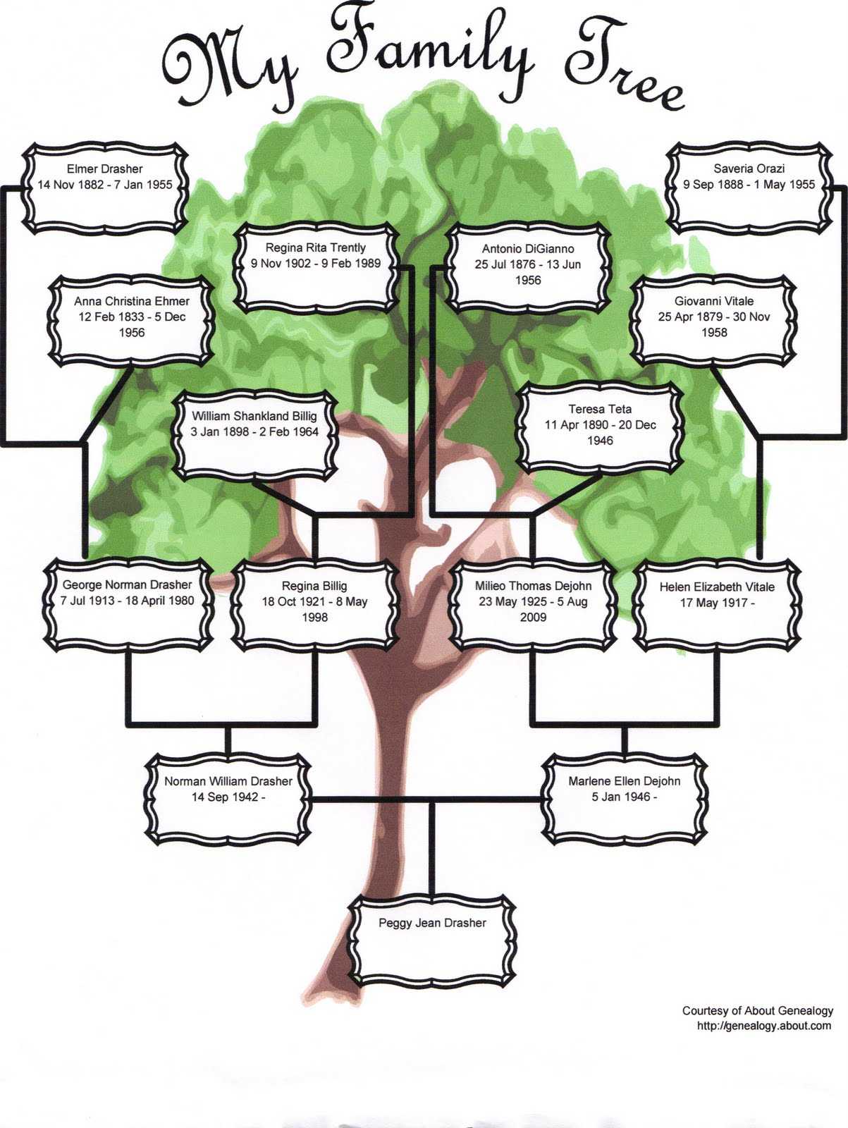 Family Tree Template: Family Tree Template Three Generation Within Blank Family Tree Template 3 Generations