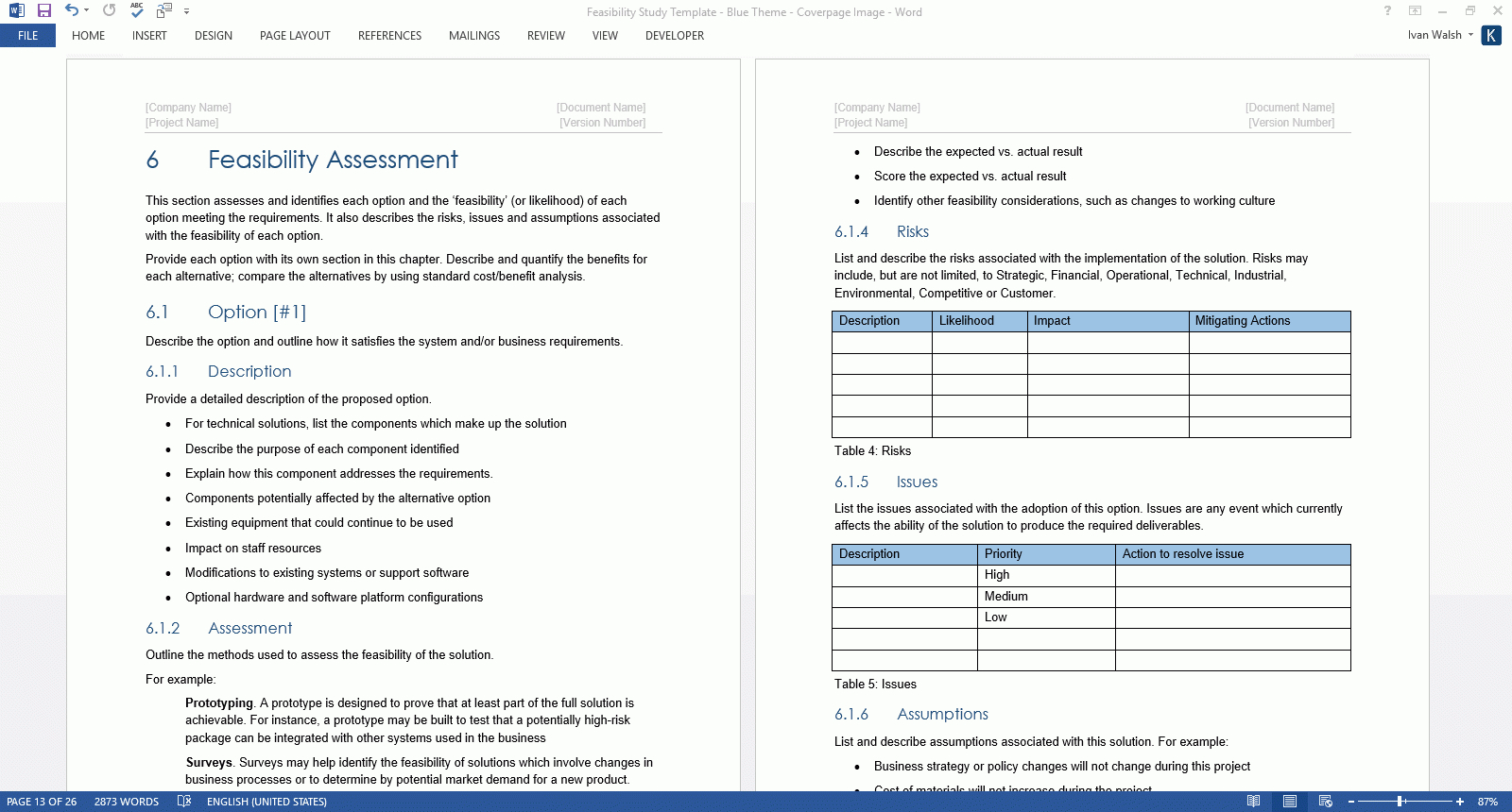 Feasibility Report Format In Excel Example Construction Inside Technical Feasibility Report Template