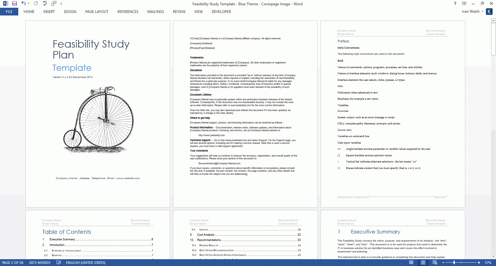 Feasibility Study Templates (Ms Word) – Templates, Forms With Regard To Technical Feasibility Report Template