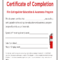 Fire Extinguisher Certificate - Fill Online, Printable inside Fire Extinguisher Certificate Template