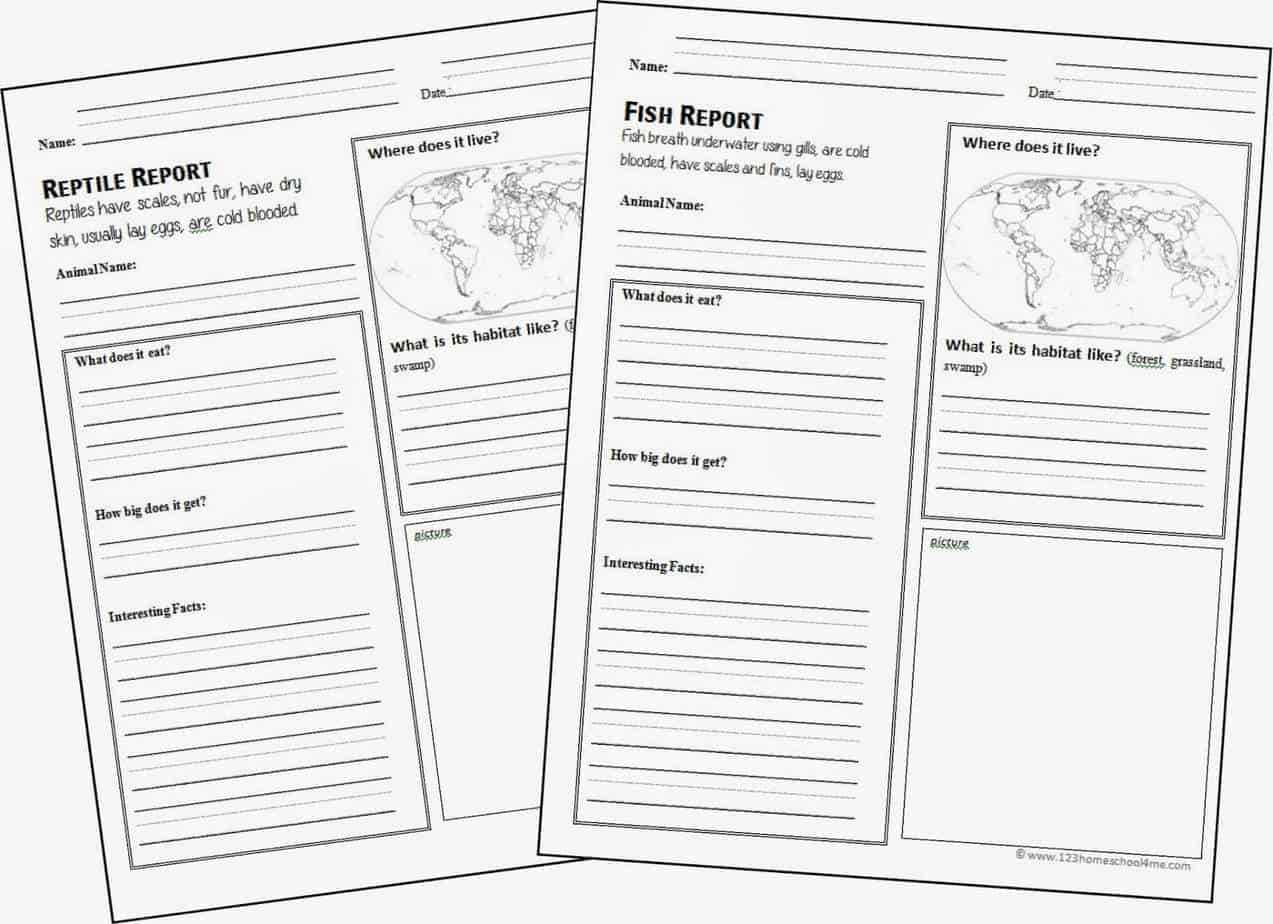 Free Animal Report Form Printable | 123 Homeschool 4 Me For Animal Report Template