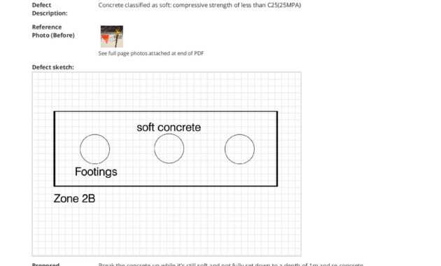 Free Defect Report Template (Better Than Word Doc And Excel) in Building Defect Report Template