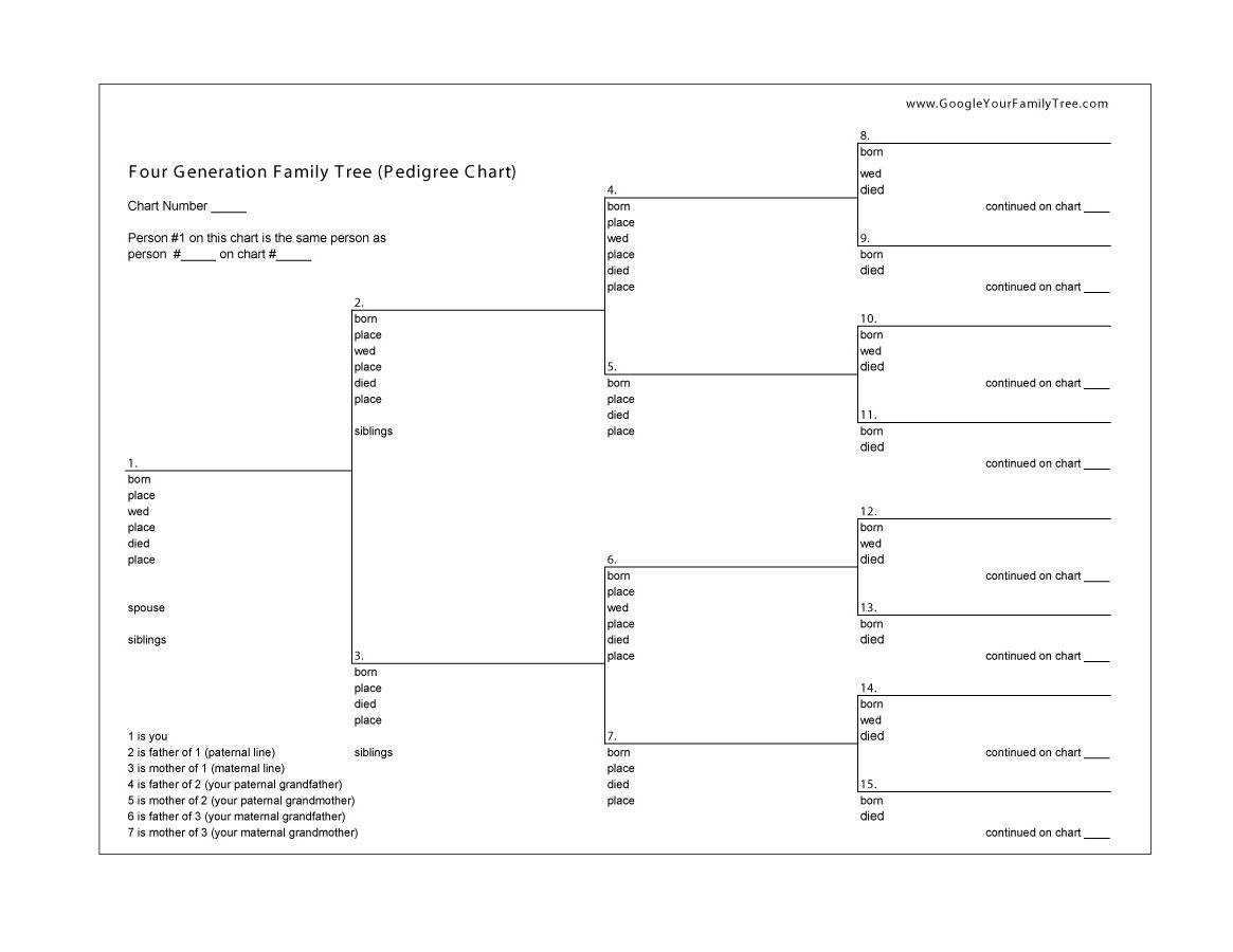 Free Printable Family Tree Charts – Zohre.horizonconsulting.co Within Blank Tree Diagram Template