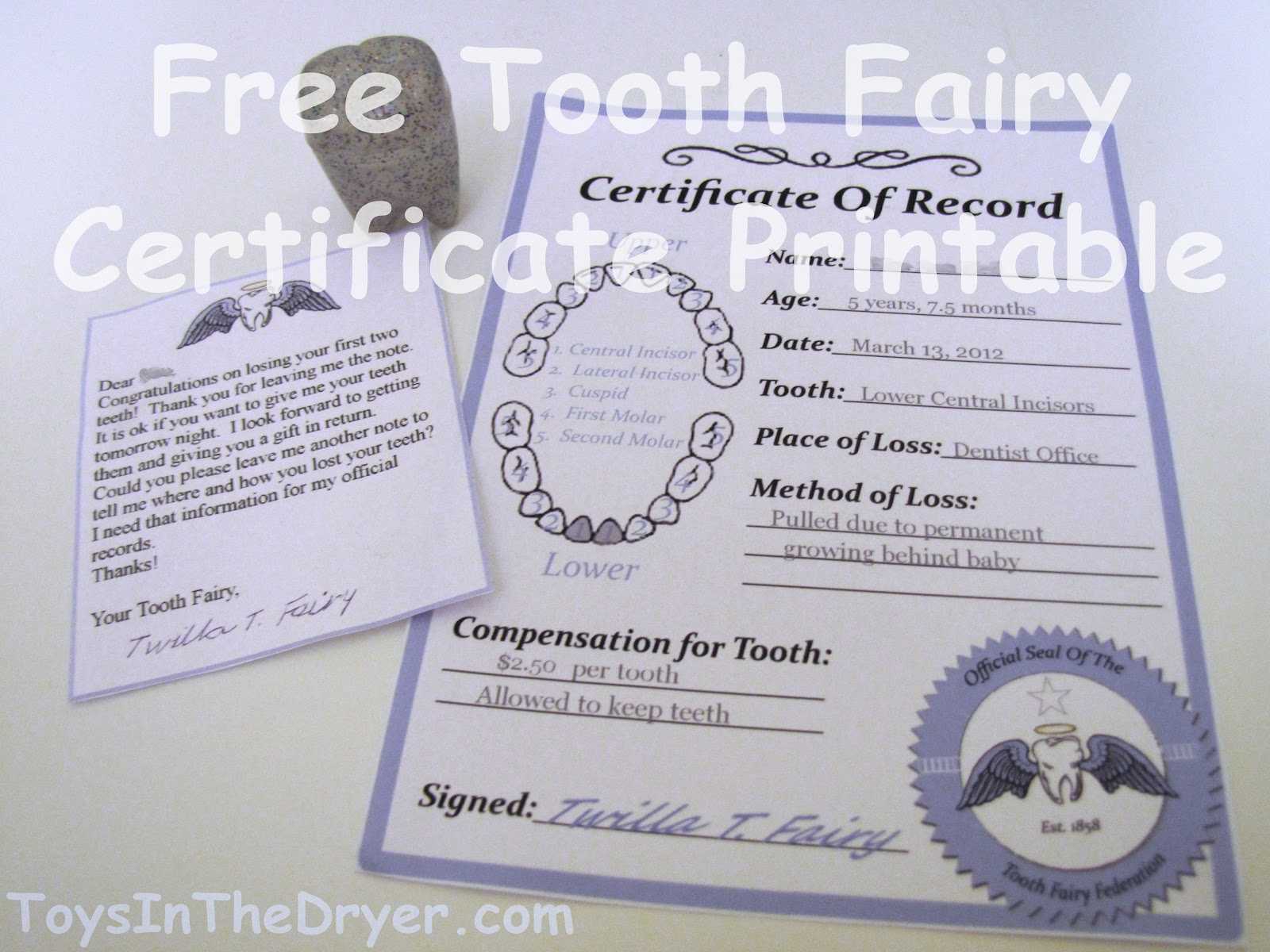 Free Tooth Fairy Certificate For Tooth Fairy Certificate Template Free
