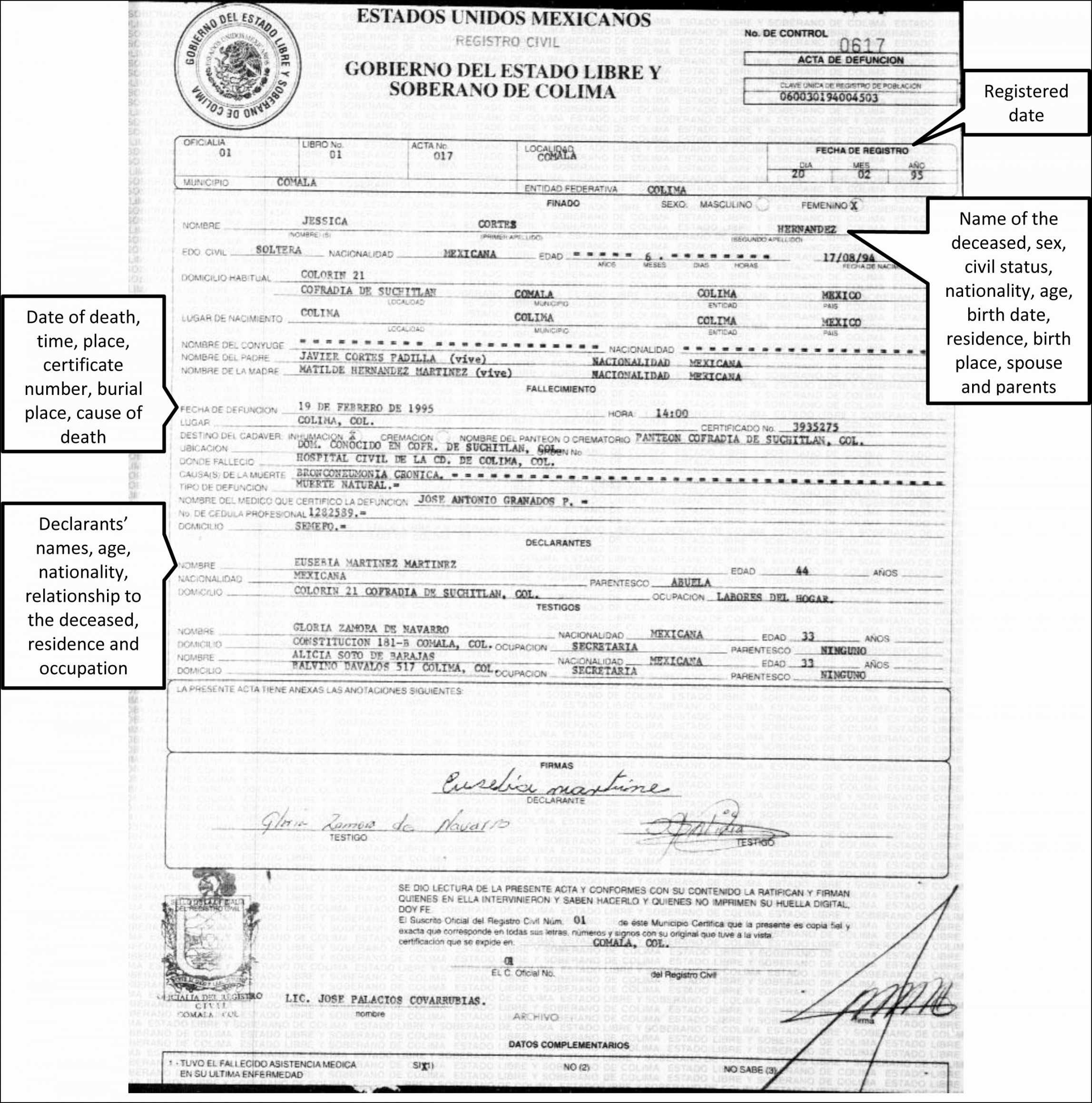 Free Translation Of Divorce Certificate Template Beautiful Intended For Mexican Birth Certificate Translation Template