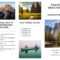 Free Travel Brochure Templates & Examples [8 Free Templates] In Word Travel Brochure Template